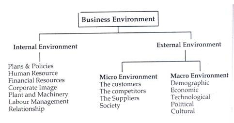 the external and internal environment