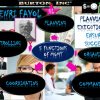 5 Main Functions of Management According to Henry Fayol Management