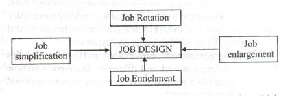 Job Design
