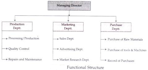 samsung organisational structure