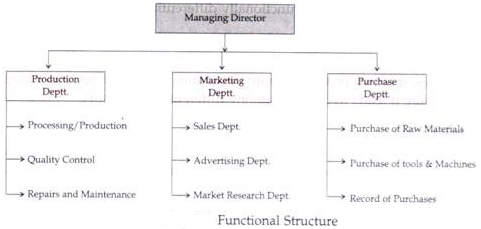 Functional Structure