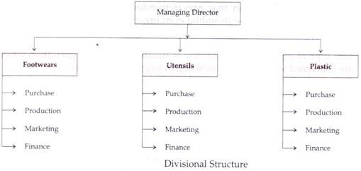 Divisional Structure