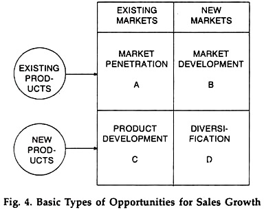 Basic Types of Opportunities for Sales Growth