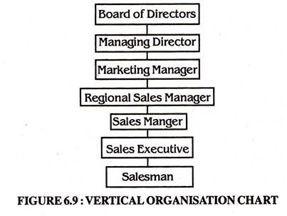 Vertical Organisation Chart