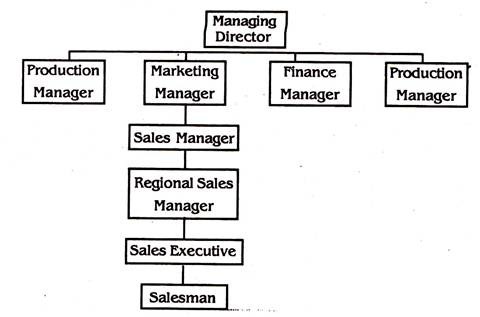 Horizontal Organisation Chart