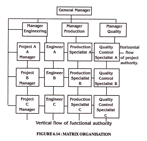 Matrix Organisation