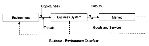 Business-Environment Interface