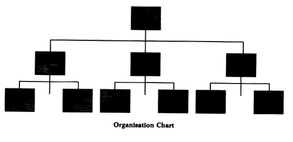 Organisation Chart