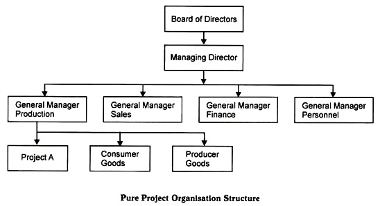 Pure Project Organisation Structure