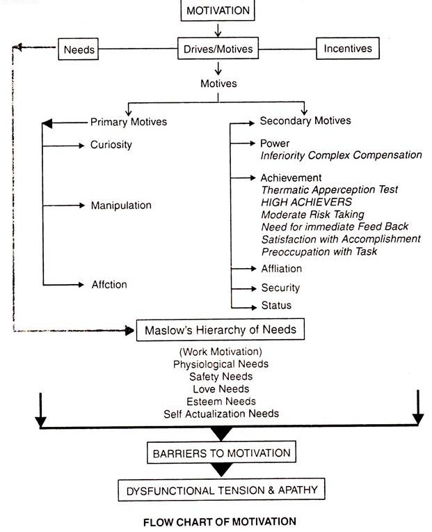 Flow Chart of Motivation