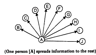One Person (A) Spreads Information to the Rest