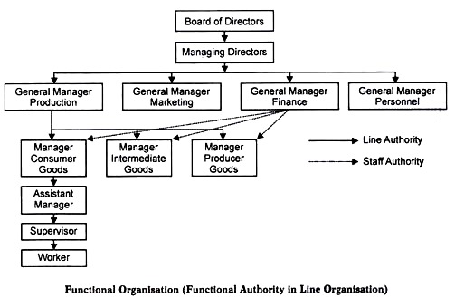 Functional Organisation