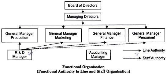 Functional Organisation