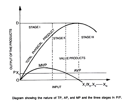 Nature of TP, AP and MP