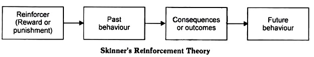 Skinner's Reinforcement Theory