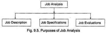 explain the purpose of job analysis