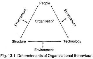 Determinnants of Organisational Behaviour