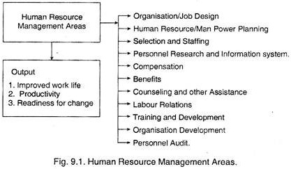 Human Resource Management Areas