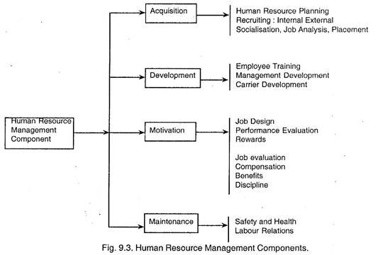 मानव संसाधन प्रबंधन घटक