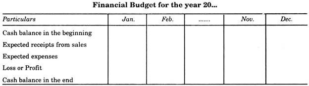 Financial Budget