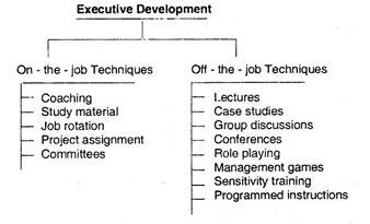 Executive Development