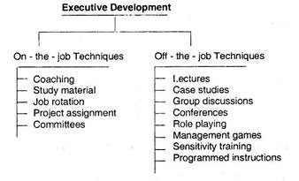 Executive Development