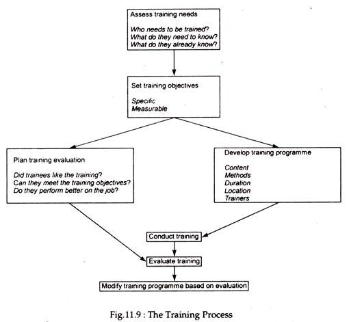 Training Process