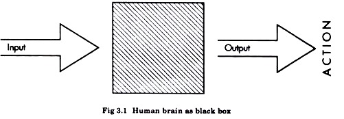ब्लैक बॉक्स के रूप में मानव मस्तिष्क