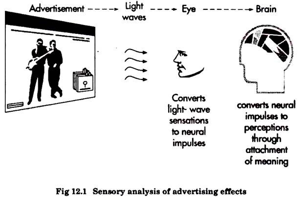 विज्ञापन प्रभावों का संवेदी विश्लेषण