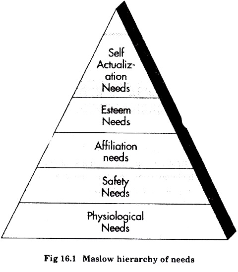 Maslow Hierarchy of Needs