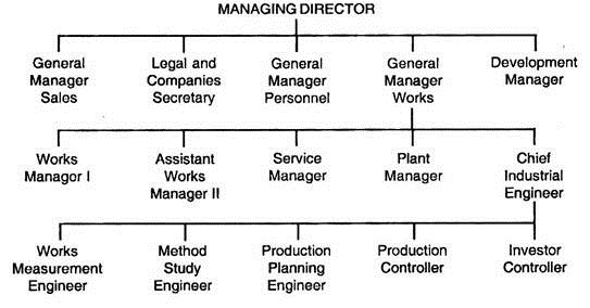 Organisational Structure