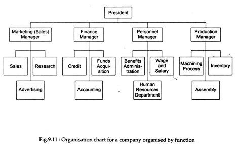 Organisation Chart for a Company Organised by Function