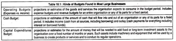 Kinds of Budgets Found in Most Large Businesses