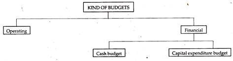 Capital Expenditures Budget Programme 