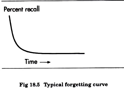 Typical Forgetting Curve