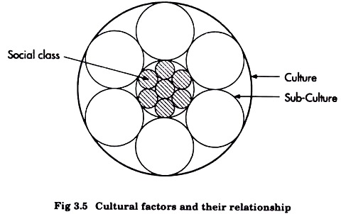सांस्कृतिक कारक और उनके संबंध
