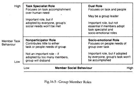 Group Member Roles