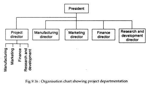 Organisation Chart Showing project departmentation