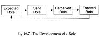 Development of a Role