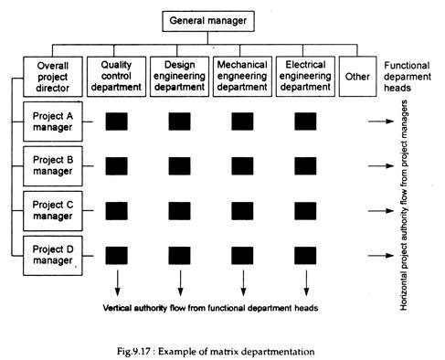 Matrix Departmentation