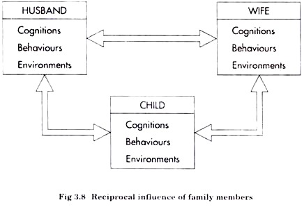 Reciprocal Influence of Family Members
