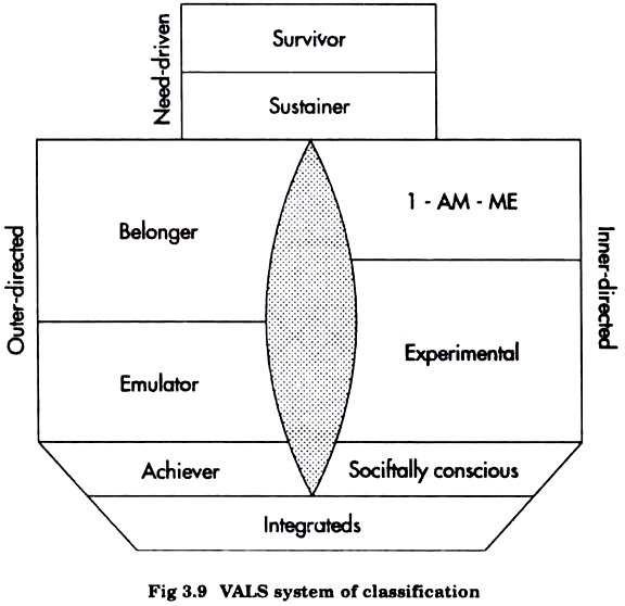 VALS System of Classification
