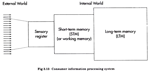 Consumer Information Processing System