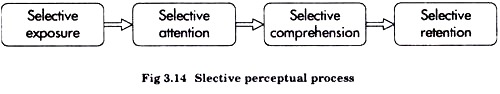 Selective Perceptual Process