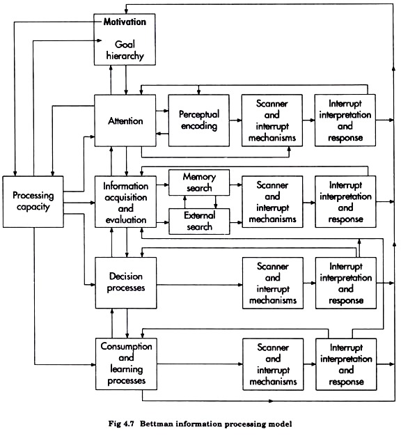 bettman Information Processing Model