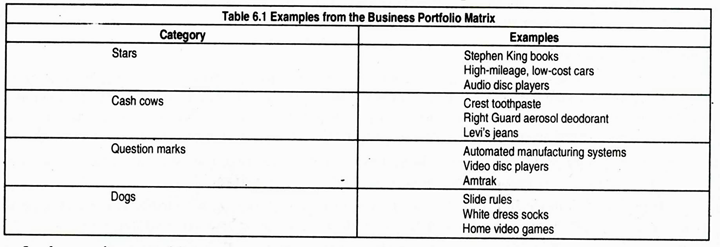 Business Portfolio Matrix