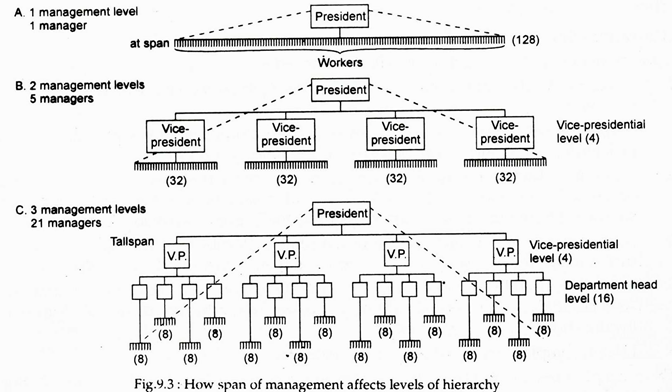 Span of Management Affects Levels of Hierarchy