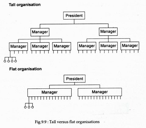 Tall Versus Flat Organisations