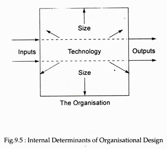 Internal Determinants of Organisational Design