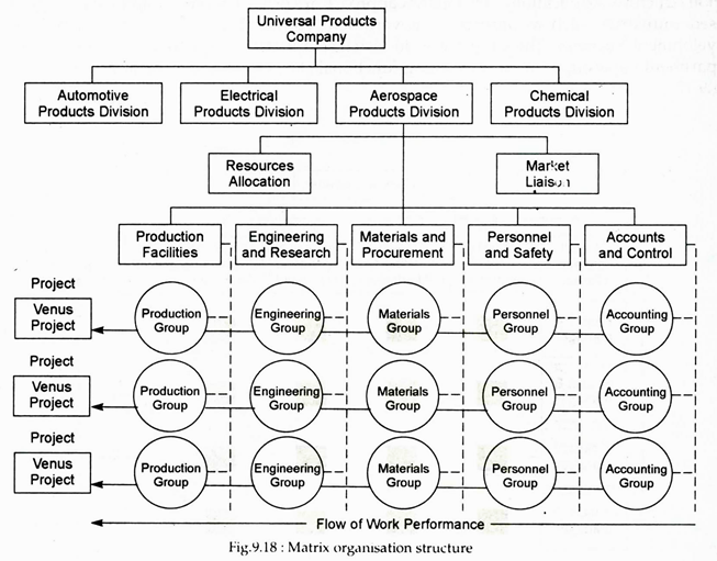 Matrix Organisation Structure